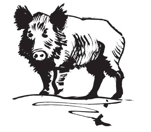 Wilde Wochen im WeinNest